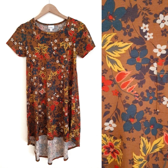 LuLaRoe Dresses & Skirts - Lularoe Brown Fall Floral T-Shirt Dress xxs